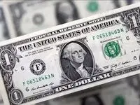یک پیش بینی متفاوت درباره بازار ارز | قیمت دلار صعود می کند یا سقوط؟
