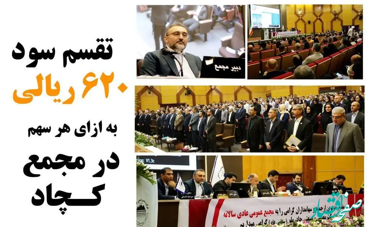 کچاد 620 ریال سود تقسیم کرد