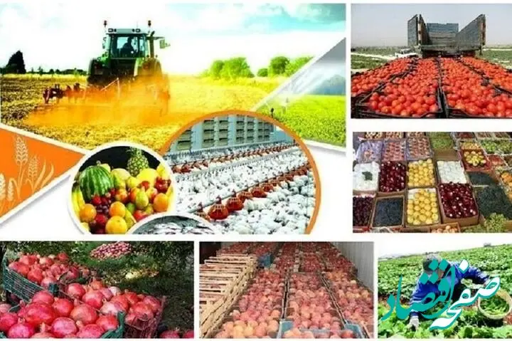 بخش کشاورزی استان کرمانشاه در جنگ تحمیلی چقدر خسارت دید؟ 