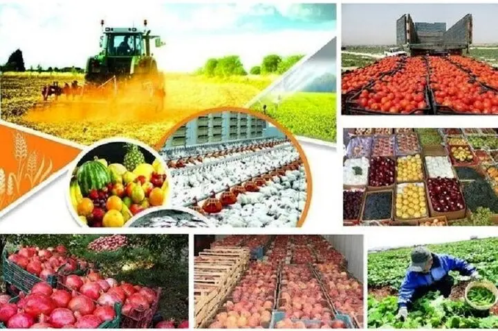 بخش کشاورزی استان کرمانشاه در جنگ تحمیلی چقدر خسارت دید؟ 