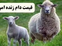 جدیدترین قیمت دام زنده در استان‌های مختلف امروز پنجشنبه ۳۰ مرداد ماه ۱۴۰۴