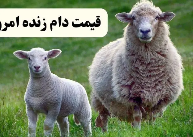 جدول قیمت دام زنده در استان های مختلف ایران امروز ۱۸ شهریور ۱۴۰۴ 