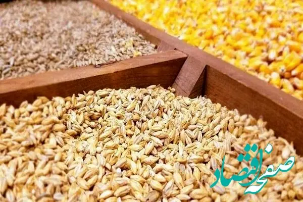 قیمت مرغ زنده | قیمت گندم | قیمت بوقلمون | قیمت انواع نهاده های دامی و محصولات کشاورزی امروز ۲۳ اردیبهشت ۱۴۰۴