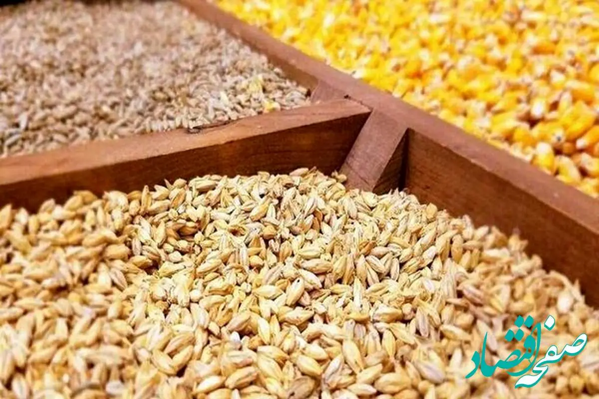 قیمت مرغ زنده | قیمت گندم | قیمت بوقلمون | قیمت انواع نهاده های دامی و محصولات کشاورزی امروز ۲۳ اردیبهشت ۱۴۰۴