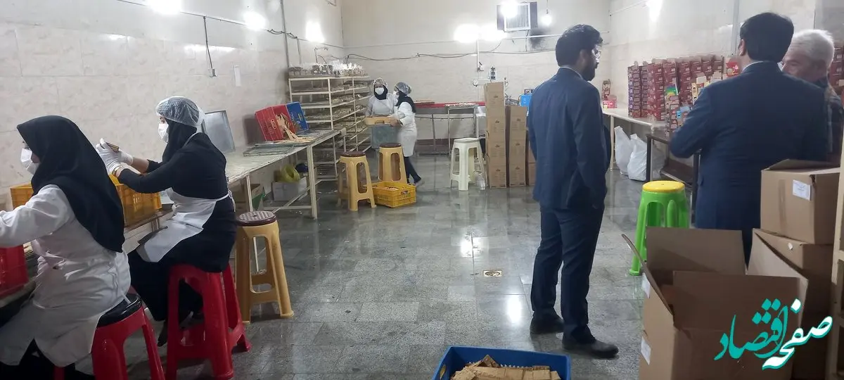 صندوق کارآفرینی امید برای ۳۲۰ نفر در خراسان رضوی شغل ایجاد کرد