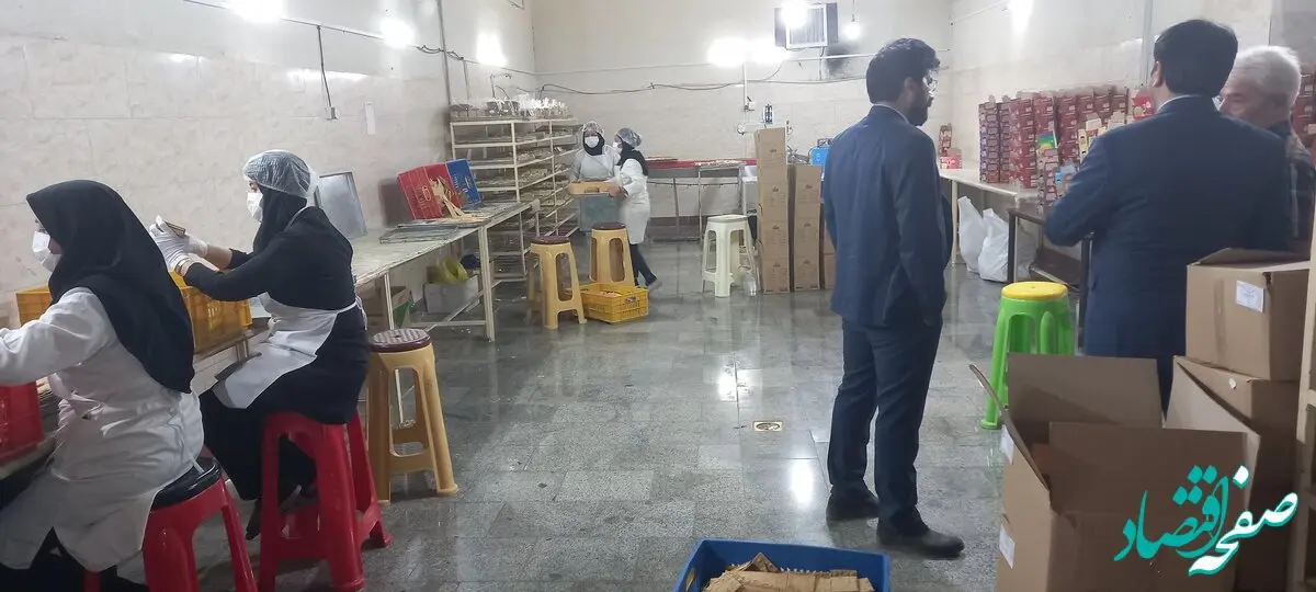 صندوق کارآفرینی امید برای ۳۲۰ نفر در خراسان رضوی شغل ایجاد کرد