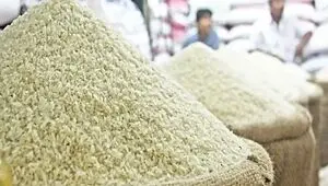 ضربه به کشاورز و مصرف‌کننده؛ وزارت جهاد کشاورزی جلوی تقلب در بازار برنج را بگیرد