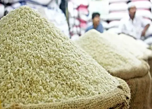 ضربه به کشاورز و مصرف‌کننده؛ وزارت جهاد کشاورزی جلوی تقلب در بازار برنج را بگیرد