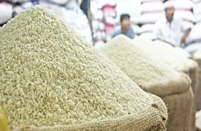 ضربه به کشاورز و مصرف‌کننده؛ وزارت جهاد کشاورزی جلوی تقلب در بازار برنج را بگیرد