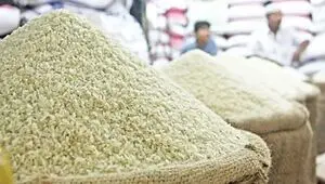 ضربه به کشاورز و مصرف‌کننده؛ وزارت جهاد کشاورزی جلوی تقلب در بازار برنج را بگیرد