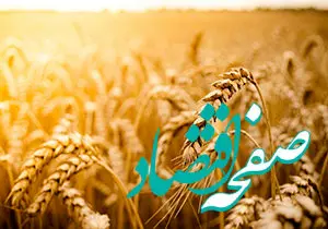 باید قیمت گندم متناسب با وضعیت واقعی اقتصاد نرخ گذاری شود