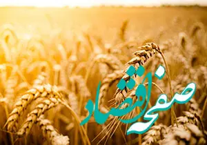 رکوردزنی خرید تضمینی گندم در سایه بارش‌های بهاری؛ عبور از این مقدار تا اوج‌گیری در هفته‌های آینده