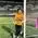 مهدی پورپاکار