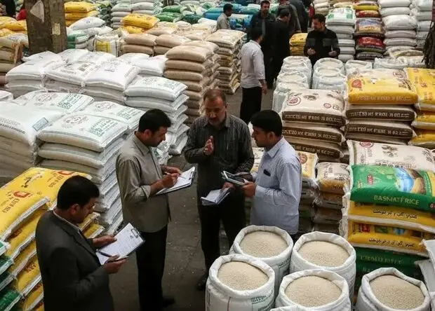 ضربه به کشاورز و مصرف‌کننده؛ وزارت جهاد کشاورزی جلوی تقلب در بازار برنج را بگیرد