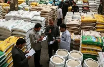 ضربه به کشاورز و مصرف‌کننده؛ وزارت جهاد کشاورزی جلوی تقلب در بازار برنج را بگیرد