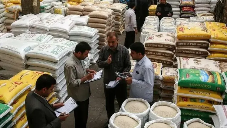 ضربه به کشاورز و مصرف‌کننده؛ وزارت جهاد کشاورزی جلوی تقلب در بازار برنج را بگیرد