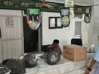 برنج و چای کشاورزان با نرخ ترجیحی توسط پست توزیع می‌شود