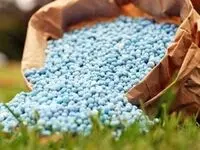  توزیع کود اوره بین کشاورزان واجد شرایط 
