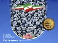 رکورد تولید کارخانه گندله سازی شماره ۱
