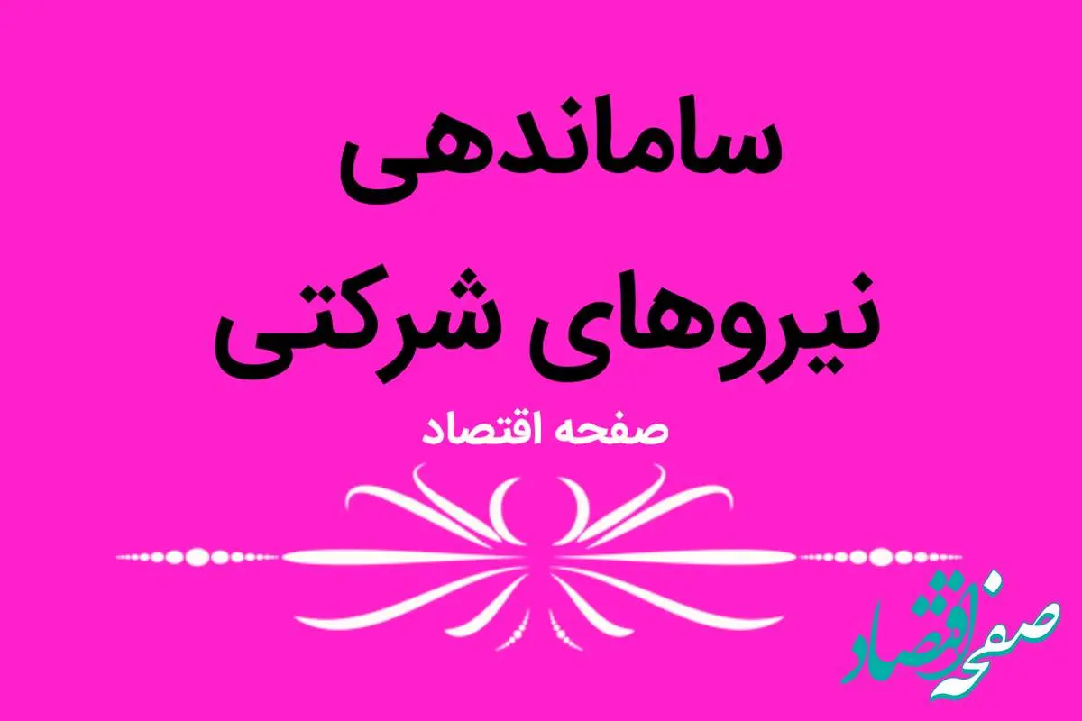 ضرب العجل تبدیل وضعیت نیروهای شرکتی در 1404 | تبدیل وضعیت نیروهای شرکتی؛ بزودی