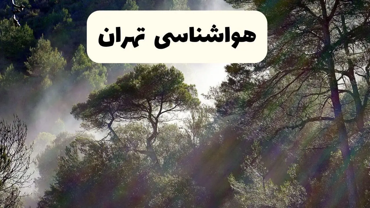 هواشناسی فوری تهران ۲۴ ساعت آینده | پیش بینی وضعیت آب و هوا تهران فردا شنبه ۱۳ اردیبهشت ماه ۱۴۰۴ 