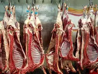 قیمت روز گوشت قرمز امروز جمعه ۲ آذر ۱۴۰۳