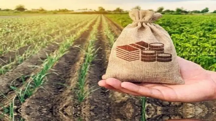 رونمایی از سند راهبردی صندوق بیمه کشاورزی در افق ۱۴۱۰ 