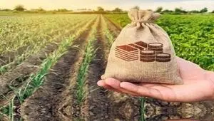 رونمایی از سند راهبردی صندوق بیمه کشاورزی در افق ۱۴۱۰ 