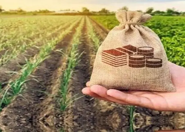 رونمایی از سند راهبردی صندوق بیمه کشاورزی در افق ۱۴۱۰ 