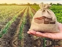 رونمایی از سند راهبردی صندوق بیمه کشاورزی در افق ۱۴۱۰ 