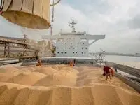  وابستگی به واردات نهاده‌های دامی با پروتئین‌های نوین و اصلاح جیره شکسته می‌شود