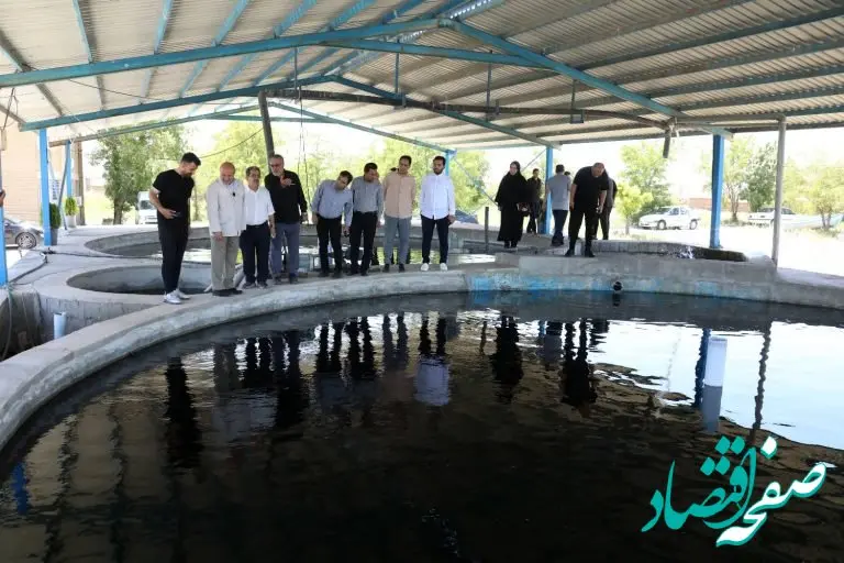 بازگشت به اوج؛ برنامه منطقه آزاد ماکو برای صدرنشینی دوباره در تولید خاویار