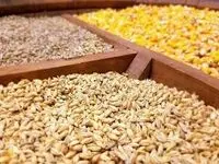 جدول قیمت نهاده های دامی و محصولات کشاورزی امروز شنبه ۱۴ شهریور 