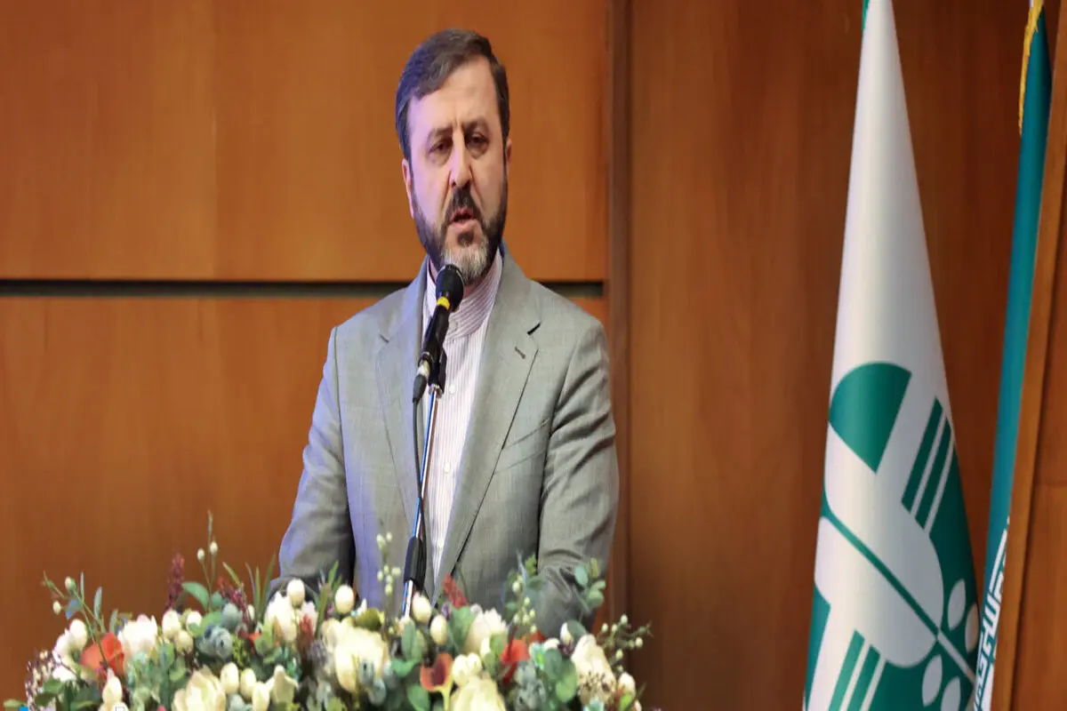 غریب‌آبادی: تعرض به امنیت خزر را محکوم کنید/ همکاری برای مقابله با بحران‌ها ضروری است