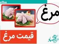 قیمت مرغ و تخم مرغ امروز یکشنبه ۴ آذر ۱۴۰۳ اعلام شد | چه بلایی سر جیب شما آمده؟