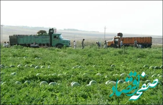 واگذاری ۵۶۴ هکتار زمین برای اجرای طرح های تعاونی زراعت در منطقه آزاد ماکو