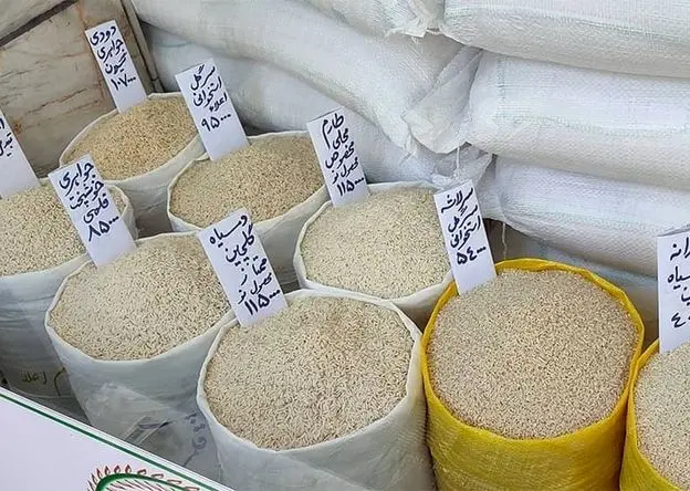 واقعا چرا دولت با واردات برنج قانون را دور زده است؟