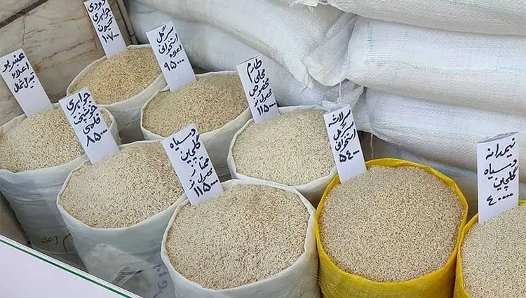 واقعا چرا دولت با واردات برنج قانون را دور زده است؟