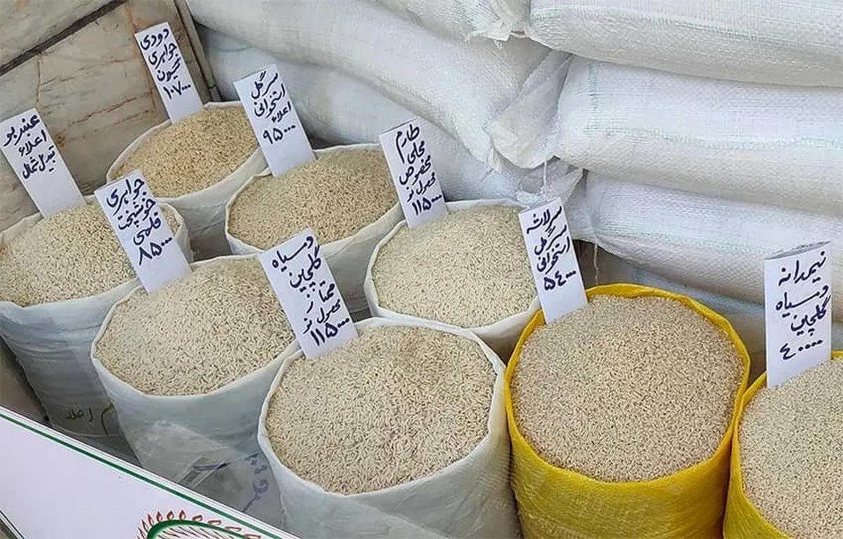 واقعا چرا دولت با واردات برنج قانون را دور زده است؟