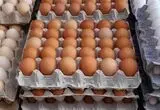 آیا قیمت تخم مرغ با ممنوعیت صادرات متعادل می شود؟ 