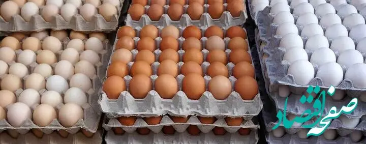 آیا قیمت تخم مرغ با ممنوعیت صادرات متعادل می شود؟ 