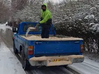 خبر فوری از برف‌روبی و نمک‌پاشی معابر دماوند/جاده‌های این شهر لغزنده‌ است