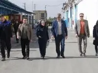 اقدامات پاکسان در حوزه محیط زیست قابل تقدیر است