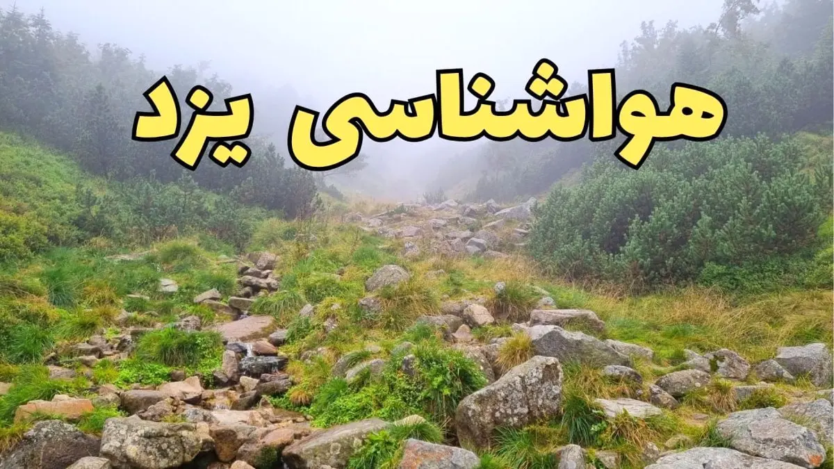 پیش بینی وضعیت آب و هوا یزد فردا شنبه ۱۸ اسفند ماه ۱۴۰۳ | پیش بینی هواشناسی یزد فردا | هوای یزد