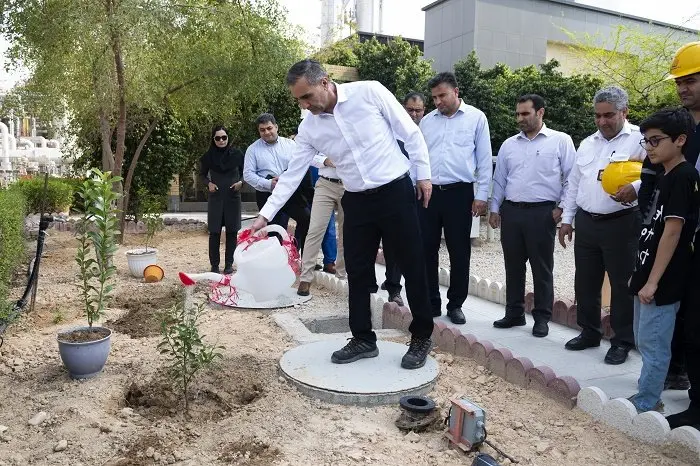 همزمان با روز درخت کاری؛ کاشت نهال در مجتمع پتروشیمی مروارید
