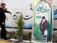 آئین روز درختکاری در پاکسان


