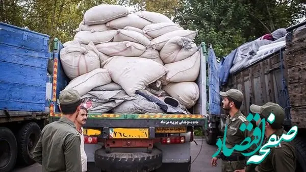 کشف ۹۹۰ تنی کالاهای اساسی در تهران؛ زنجیره احتکار گوشت، چای و حبوبات منهدم شد