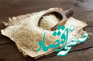 گرانی برنج مازندران/پای دلال‌ها در میان است؟