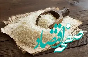 گرانی برنج مازندران/پای دلال‌ها در میان است؟