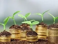 صندوق ملی محیط‌زیست به دنبال همکاری با بیمه‌ها